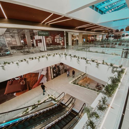 pexels-ani-tolentino-13013473 pexels-ani-tolentino-13013473